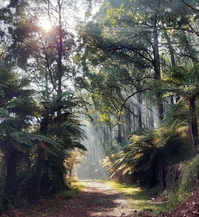 Chudleigh Park Cottages Sassafras ภายนอก รูปภาพ