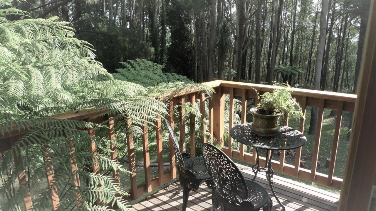 Chudleigh Park Cottages Sassafras ภายนอก รูปภาพ
