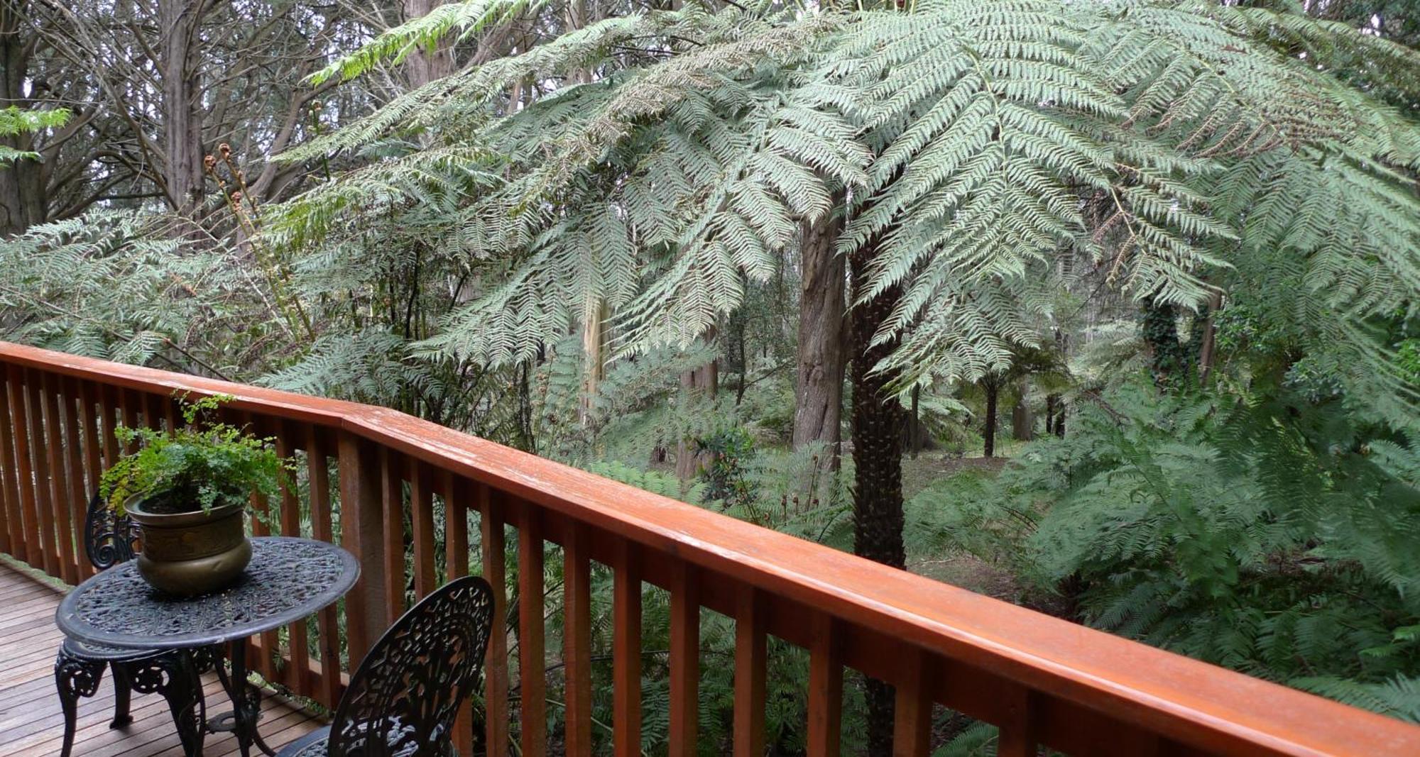 Chudleigh Park Cottages Sassafras ภายนอก รูปภาพ